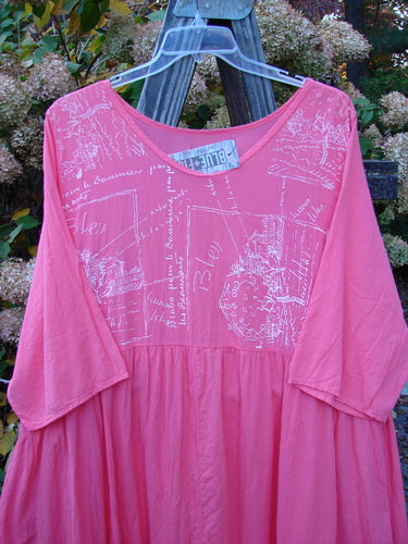 Barclay NWT Textured Terrarium Dress Contour Travel Geranium Size 2 displayed on a mannequin, showcasing its three-quarter length wider sleeves, sweeping A-line shape, and downward curved waist seam.