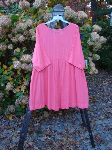 Barclay NWT Textured Terrarium Dress Contour Travel Geranium Size 2 on a rack, featuring three-quarter sleeves and a sweeping A-line design with a downward curved waist seam.