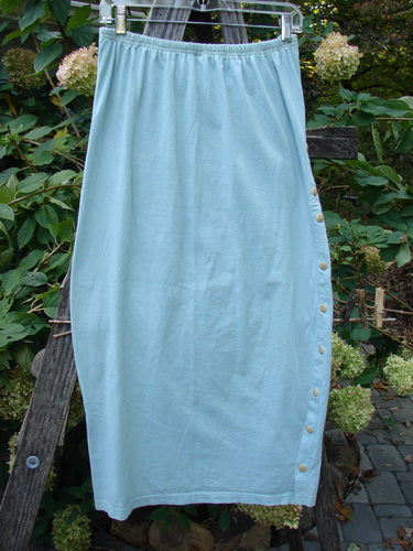 1994 Apron Skirt Magic Garden Menthe Size 1 displayed on a wooden ladder, showcasing its unique painted apron panel and vertically curved side buttons, reflecting vintage Blue Fish Clothing style.