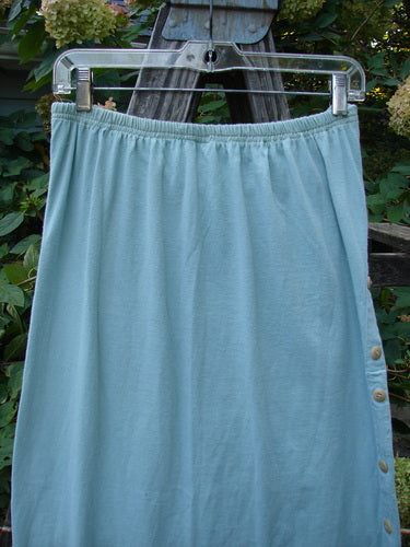 1994 Apron Skirt Magic Garden Menthe Size 1 displayed on a clothes rack, featuring a sweet painted front apron panel, layered design, and vertically curved side buttons from BlueFishFinder.com's vintage collection.