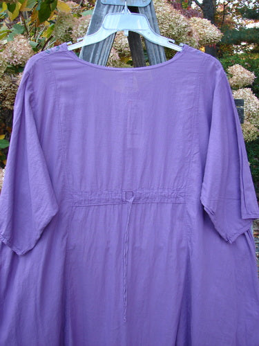 Barclay NWT Batiste Bliss Dress, size 2, with a soft rounded neckline, short sleeves, and exterior flop pockets. Violet dress on a swinger with a strawberry theme paint.