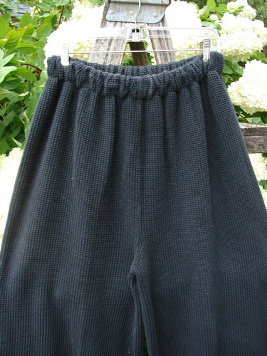 Bluefishfinder.com 1993 Thermal Waffle Wide Leg Crop Pant in unpainted black, size 1, with a textured waffle knit, gathered elastic waistband, and wide cropped legs. The dark fabric hangs from a hanger against leafy greenery and pale flowers.