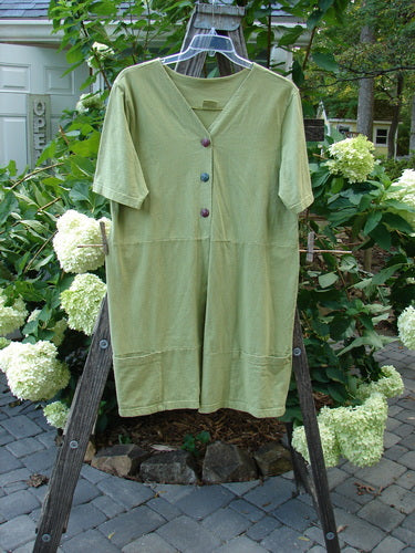 Barclay Sectional Pocket Tunic Unpainted Spring Sprout Size 0 displayed on a wooden rack, featuring a deep V-neckline, colorful buttons, short sleeves, and side drop wrap lower pockets.
