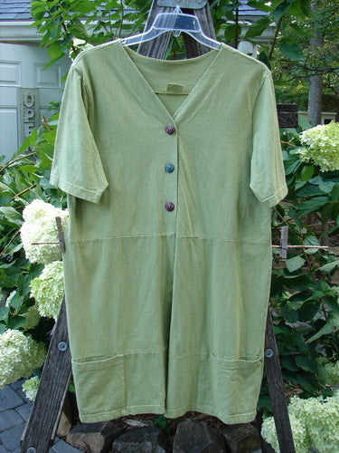 Barclay Sectional Pocket Tunic Unpainted Spring Sprout Size 0, featuring a deep V-neckline, colorful button front, and short sleeves, displayed on a clothes rack.
