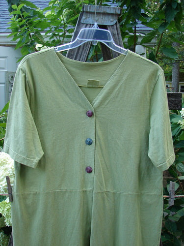 Barclay Sectional Pocket Tunic Unpainted Spring Sprout Size 0 on a hanger, featuring a deep V neckline, colorful button front, short sleeves, side pockets, and a dual drawcord back.