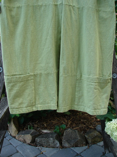 Barclay Sectional Pocket Tunic Unpainted Spring Sprout Size 0 hanging outdoors, showcasing deep V neckline, colorful button front, short sleeves, and side pockets, highlighting its organic cotton and easy tunic length.