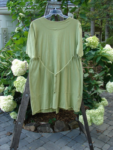 Barclay Sectional Pocket Tunic Unpainted Spring Sprout Size 0 displayed on a wooden rack, featuring a deep V neckline, colorful button front, short sleeves, and side drop wrap lower pockets.