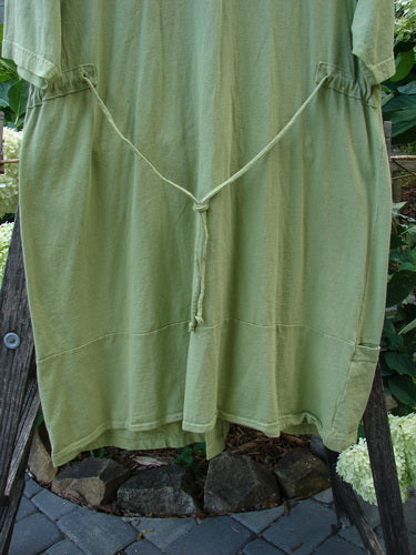 Barclay Sectional Pocket Tunic Unpainted Spring Sprout Size 0 displayed on a wooden ladder, showcasing its deep V-shaped neckline, colorful button front, and side drop wrap lower pockets.