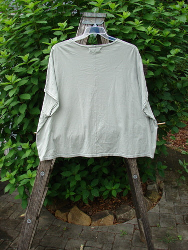 Barclay Cricket Cap Sleeve Tee Centered Dune Grass OSFA displayed on a wooden ladder, showcasing its seamless shoulder sleeve, cool cap sleeves, and rounded hemline, embodying BlueFishFinder.com's vintage, expressive style.