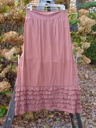 Barclay NWT Voile Foldover Five Ruffle Skirt Unpainted Kiss Cliff Size 2 hanging on a clothesline, showcasing its full cotton waist panel and ruffled five-row paneled hemline.
