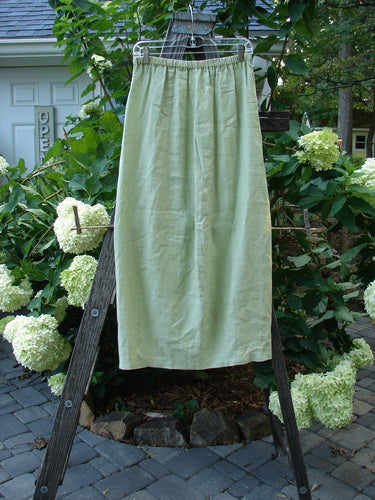 2000 Cross Dye Linen Contour Skirt Unpainted Celery Size 0 displayed on a wooden ladder, showcasing its full elastic waistband and vertically paneled sides.