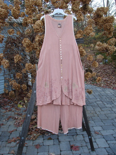 1998 Gauze Shell Layering Duo Tiny Floral Blush Size 2: A pink dress on a rack, close-up of a pink dress, and a pink dress on a stand.