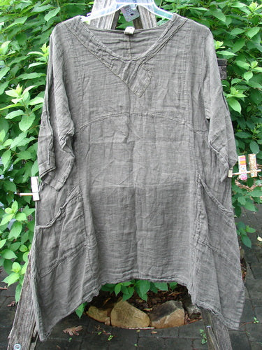 Barclay NWT Linen Cross Over Urchin Pocket Dress Unpainted Earth Size 1 on a clothesline, showcasing its smart V-neckline, drop shoulders, and unique pocket design, embodying Bluefishfinder.com's vintage-inspired style.