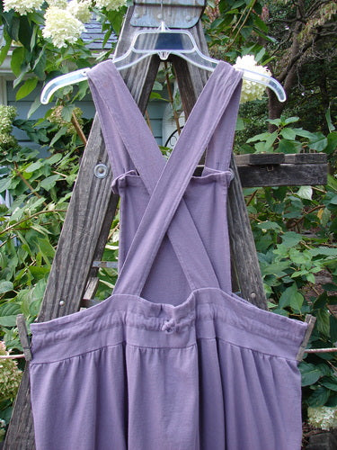 1996 Souvenir Jumper Turn Path Petunia Size OSFA displayed on a wooden ladder, featuring a criss-cross back, gathered skirt, and painted bib detailing.