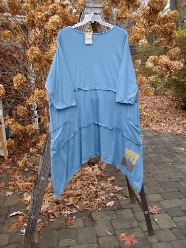 Barclay NWT Raw Seam Vector Dress Flower Power Whistler Blue Size 2 displayed on a clothes rack, featuring raw edges, a wider V neckline, and exterior drop front pockets.