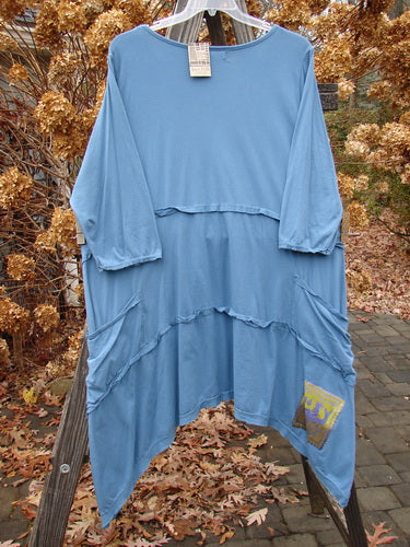 Barclay NWT Raw Seam Vector Dress in Whistler Blue with raw edges, varying hemline, and exterior drop front pockets, displayed on a clothes rack.