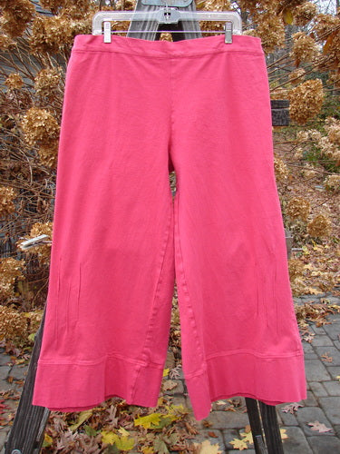 Barclay Heavy Weight Denim Crop Tool Pant Unpainted Tulip Size 2 hanging on a clothesline, showcasing its elastic waistline, vertical pinched lower accents, and thickly banded lowers.