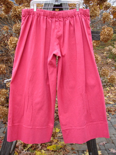 Barclay Heavy Weight Denim Crop Tool Pant in Tulip Size 2 hanging on a clothesline, showcasing a relaxed elastic waistline and vertical pinched lower accents suitable for Fall into Spring.