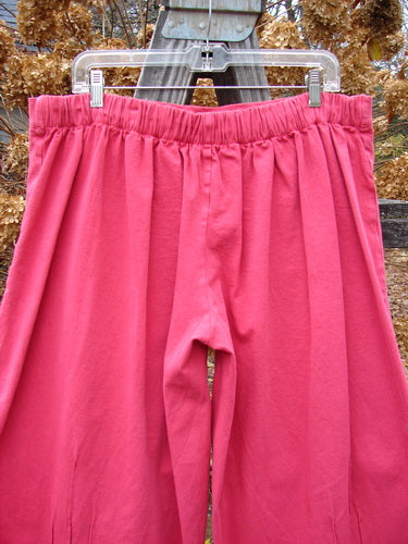 Barclay Heavy Weight Denim Crop Tool Pant Unpainted Tulip Size 2 hanging on a clothesline, showcasing a shorter rise, slimmer hips, and thickly banded lowers.