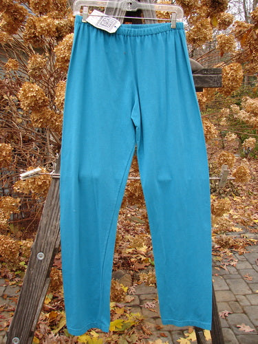 Barclay NWT Cotton Lycra Relaxed Legging Unpainted Dusty Aqua Size 2 displayed on a wooden ladder, showcasing its relaxed fit and soft fabric.