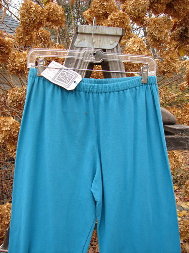 Barclay NWT Cotton Lycra Relaxed Legging Unpainted Dusty Aqua Size 2 displayed on a hanger, showcasing its relaxed fit and soft fabric. Tag visible, indicating new condition.