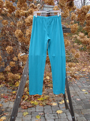 Barclay NWT Cotton Lycra Relaxed Legging in Dusty Aqua Size 2, displayed on a wooden ladder, showcasing its relaxed fit and long leg design.