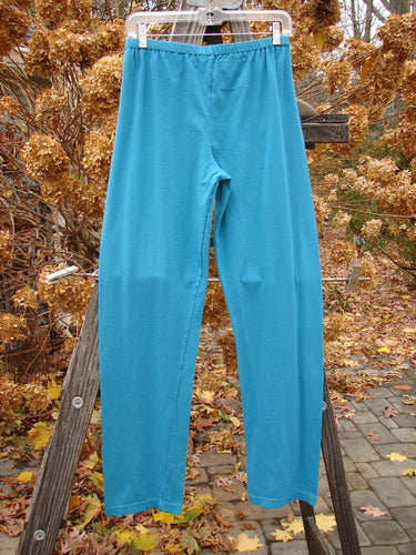 Barclay NWT Cotton Lycra Relaxed Legging Unpainted Dusty Aqua Size 2 displayed on a wooden ladder, showcasing longer leg design and soft, casual fabric perfect for comfortable, everyday wear.