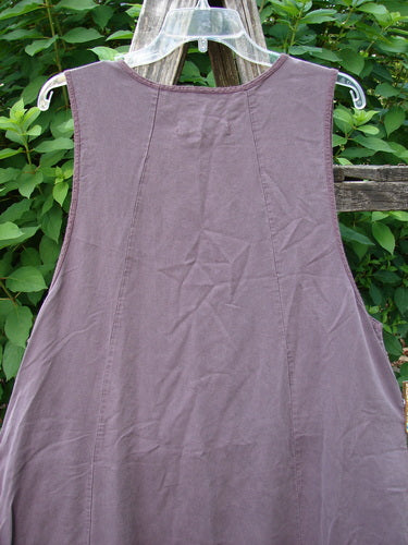 Barclay NWT Lyocell Joyous Jumper Unpainted Fig Size 0 displayed on a wooden fence, showcasing its A-line shape, deep arm openings, vertical seams, and double drop front exterior pockets.