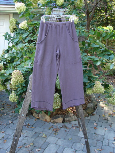 2000 Thermal Pathway Pant Unpainted True Eggplant Size 1 displayed on a wooden ladder, showcasing its stretchy heavyweight cotton material, full elastic waistband, and unique double-paneled cuff with contrasting stitchery.