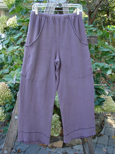 2000 Thermal Pathway Pant Unpainted True Eggplant Size 1 hanging on a clothesline, featuring a full replaced elastic waistband and unique double-paneled lower cuffs with contrasting stitchery.