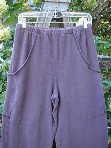 2000 Thermal Pathway Pant Unpainted True Eggplant Size 1 hanging on a clothesline, showcasing its unique double-paneled lower cuff with contrasting stitchery and two front cargo pockets.