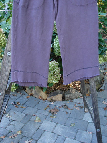 2000 Thermal Pathway Pant Unpainted True Eggplant Size 1 displayed on a rack, showcasing its stretchy cotton thermal fabric, double-paneled lower cuff with lettuce edge stitchery, and two front cargo pockets.