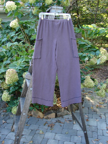 2000 Thermal Pathway Pant Unpainted True Eggplant Size 1 displayed on a wooden ladder, featuring a full elastic waistband, two front cargo pockets, and double-paneled cuffs with lettuce-edge stitching.