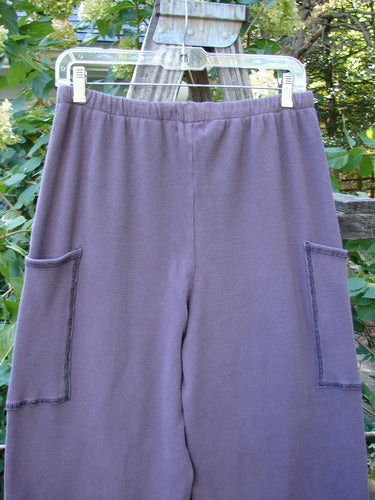 2000 Thermal Pathway Pant Unpainted True Eggplant Size 1 displayed hanging outdoors, highlighting its unique double-paneled lower cuff, front cargo pockets, and elastic waistband.