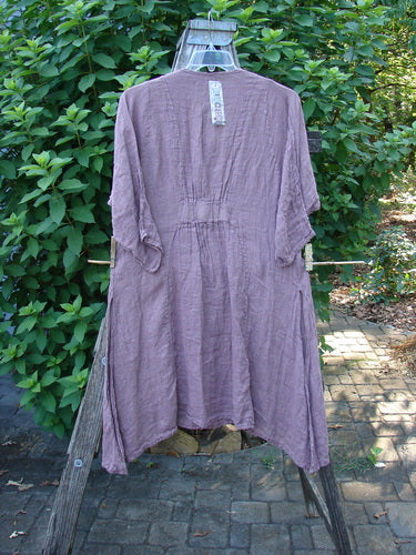 Barclay NWT Linen Venetian Dress Fern Field Tulsi Rose Size 0 displayed on a clothesline, showcasing its oval neckline, pinched three-quarter sleeves, and varying hemline with curvy panels.