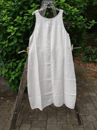 Barclay NWT Linen Sundress Spin Floral Garden Natural Fog Size 0, elegantly displayed on a clothesline, showcases its delicate design and lightweight fabric, embodying BlueFishFinder's vintage-inspired, creative fashion ethos.