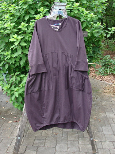 Barclay NWT Cotton Lycra Bell Urchin Pocket Dress Unpainted Dulse Size 0 displayed on a clothes rack, showcasing its unique bell shape and practical pocket design, embodying BlueFishFinder's creative vintage style.