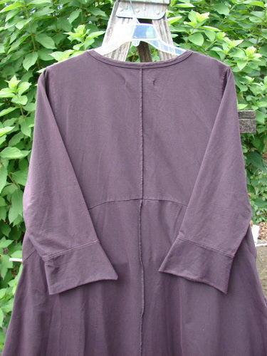 Barclay NWT Cotton Lycra Bell Urchin Pocket Dress Unpainted Dulse Size 0, displayed on a clothes rack, features a unique mantle design, emphasizing vintage-inspired outerwear with functional pockets.
