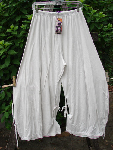 Barclay NWT Crop Billow Pant Unpainted Jasmine Dew Size 0 displayed hanging on a clothesline, showcasing its elegant, flowing design, typical of Bluefishfinder.com's unique vintage-inspired clothing collection.