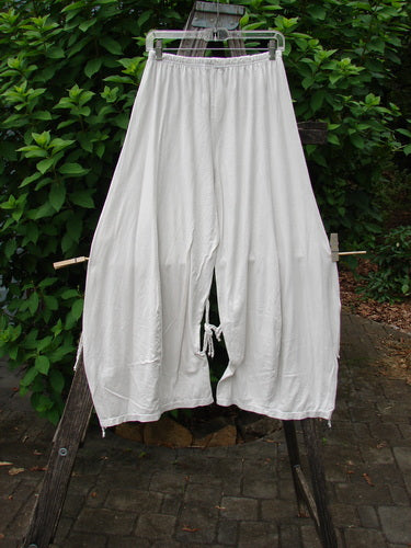 Barclay NWT Crop Billow Pant Unpainted Jasmine Dew Size 0 displayed on a clothes rack, highlighting their elegant, flowing design, embodying the vintage charm and individuality Bluefishfinder.com is renowned for.