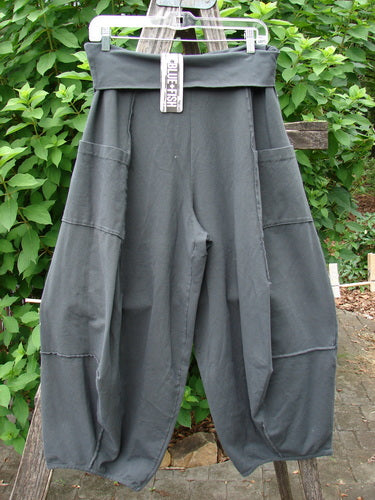 Barclay NWT Cotton Lycra Fold Over Forager Pocket Pant Unpainted Black Sand Size 0 displayed draped over a fence, highlighting its design and craftsmanship, reflecting Bluefishfinder.com's vintage, expressive clothing ethos.