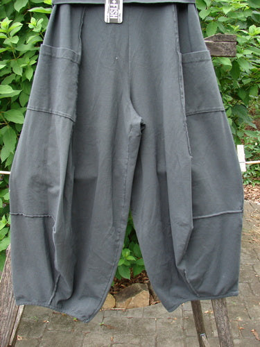 Barclay NWT Cotton Lycra Fold Over Forager Pocket Pant Unpainted Black Sand Size 0 displayed hanging on a fence, showcasing its unique design and structure, embodying Bluefishfinder.com's vintage clothing ethos.