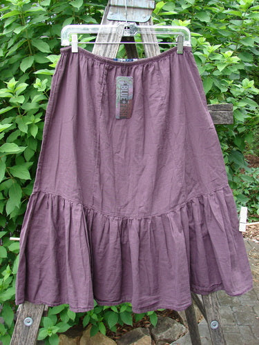 Barclay NWT Batiste Mid Layer Gather Ruffle Skirt Unpainted Fig Size 0 hangs on a clothesline, showcasing its textured pattern and elegant ruffle design, embodying BlueFishFinder's vintage, expressive fashion ethos.