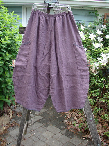 Barclay NWT Linen Stitch Two Pocket Pant in Twilight Plum, featuring a full elastic waist, dual round top side pockets, generous lower barrel legs, and sweet striped accents, Size 0.