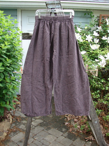 Barclay NWT Two Pocket Klee Pant Unpainted Stripe Fig Size 0 features a full elastic waist, dual top pockets, slightly flared legs, and striped accents, reflecting BlueFishFinder's vintage style.