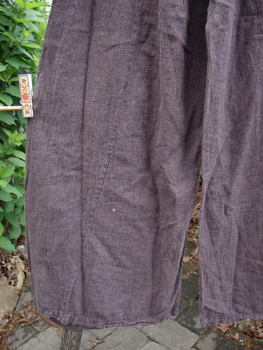 Barclay NWT Two Pocket Klee Pant Unpainted Stripe Fig Size 0 features a full elastic waist, dual top pockets, and slightly flared lowers, embodying Blue Fish's vintage, expressive style.