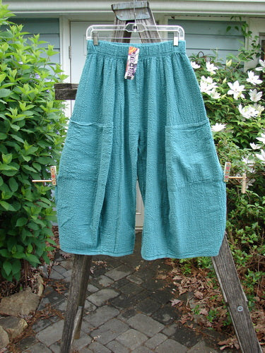 Barclay NWT Pucker Crop Mojo Pant Unpainted Jade Size 0 features unique 3D diamond cuts from knee down, generous front pockets, and a thick elastic waistband, embodying Bluefishfinder's vintage creative style.