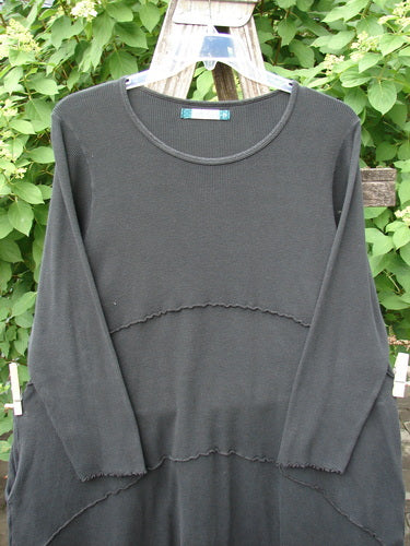 Barclay Thermal Exterior Stitch Three Tier Dress in Unpainted Black, Size 2, displayed outdoors. The dress features long sleeves, a crew neck, and distinct tiered seam details, embodying vintage Blue Fish Clothing style.