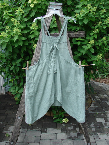 Barclay Linen Side Pocket Apron Jumper Verticals Sage Size 0 hangs on a wooden ladder, showcasing its bib front, crossed straps, wide legs, and side pockets against a lush outdoor backdrop.