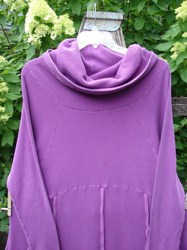 Barclay Thermal Cowl Collar Vertical Empire Pocket Dress, featuring a long-sleeved, purple knit design with a draped cowl-style hood, displayed on a hanger against green foliage, highlighting its unique and expressive style.